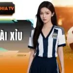 Kèo Tài Xỉu - Hướng Dẫn Cách Đọc Kèo Cho Người Mới
